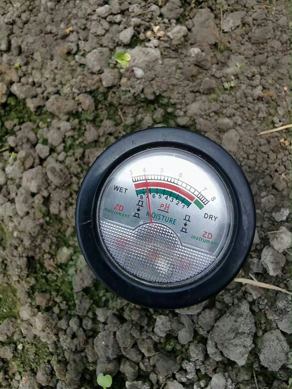 2，7月21日测定土壤PH值为4