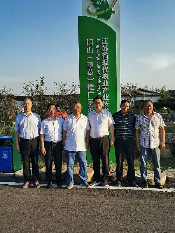 1，时代楷模、全国劳动模范赵亚夫 一行来到江苏省产业技术体系铜山草莓推广示范基地