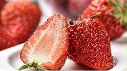 草莓病虫害管理？草莓炭疽病如何预防？